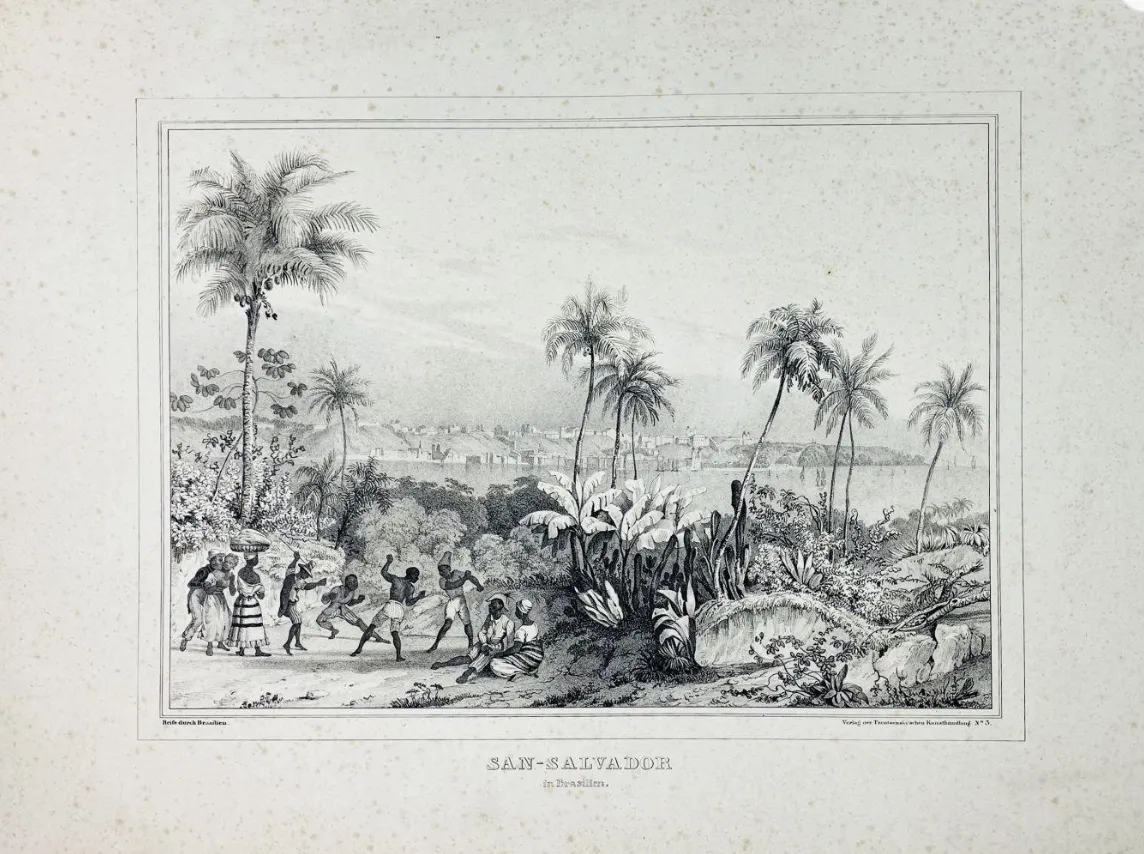 aaoa image