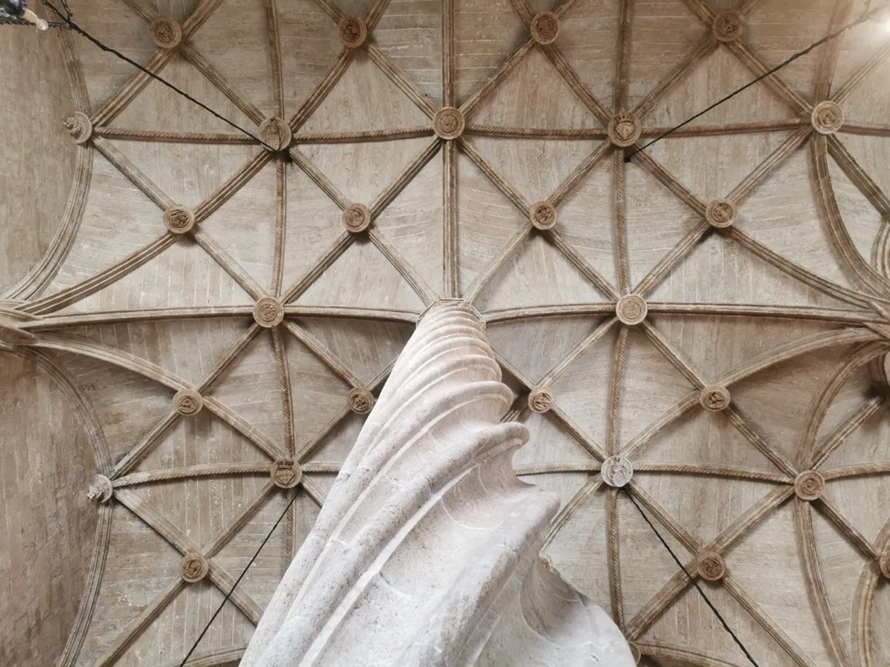 beate fricke lecture image