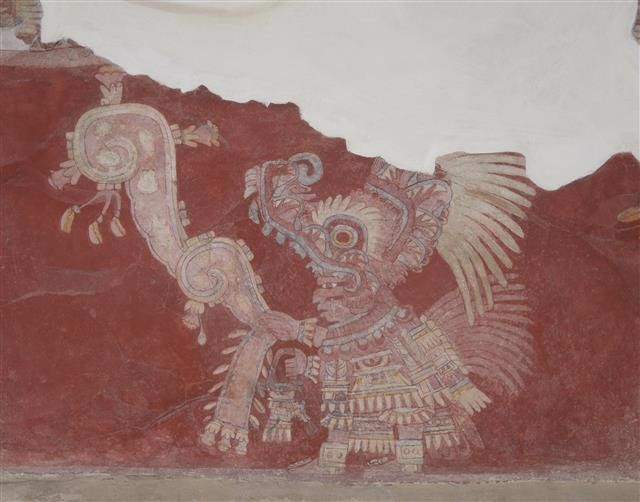 aaoa image