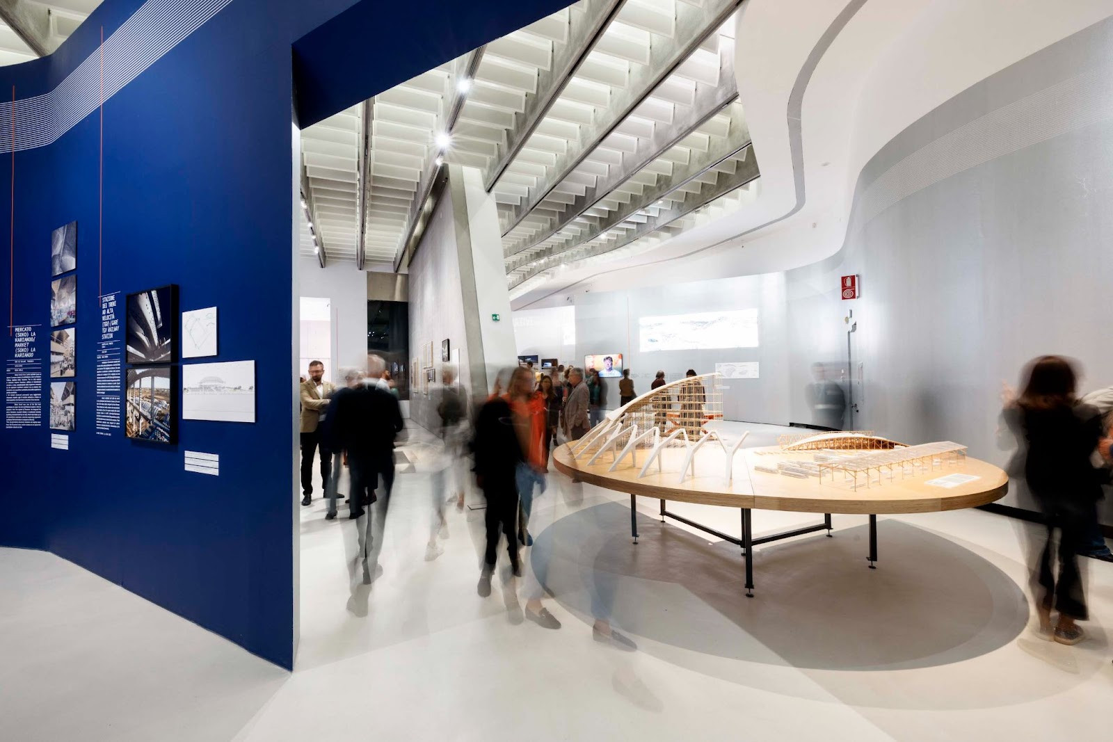 collins kaufmann image